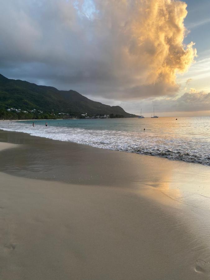Flower Garden Self-Catering Apartments Beau Vallon  Exterior foto