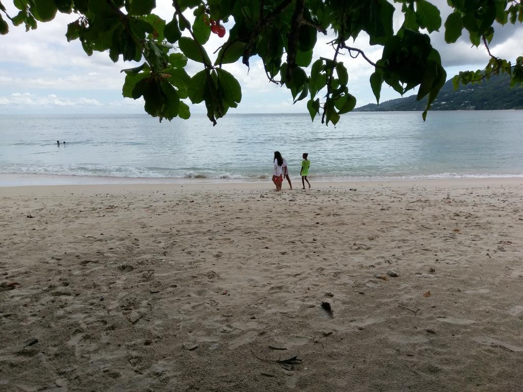 Flower Garden Self-Catering Apartments Beau Vallon  Exterior foto