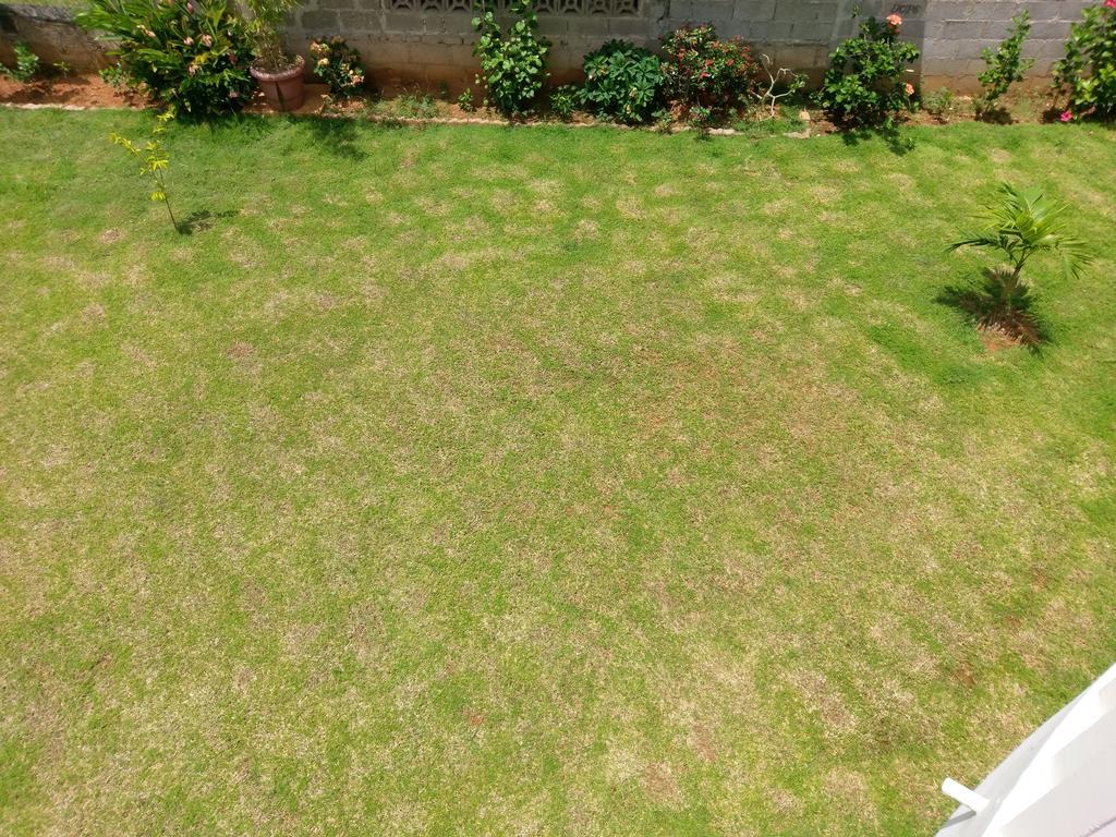 Flower Garden Self-Catering Apartments Beau Vallon  Exterior foto