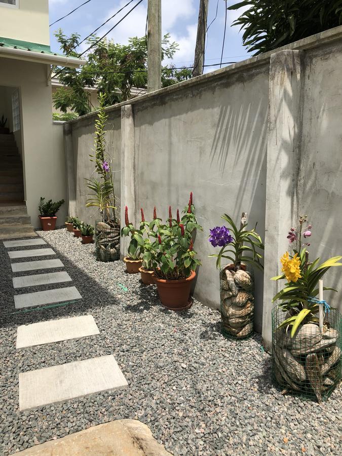 Flower Garden Self-Catering Apartments Beau Vallon  Exterior foto