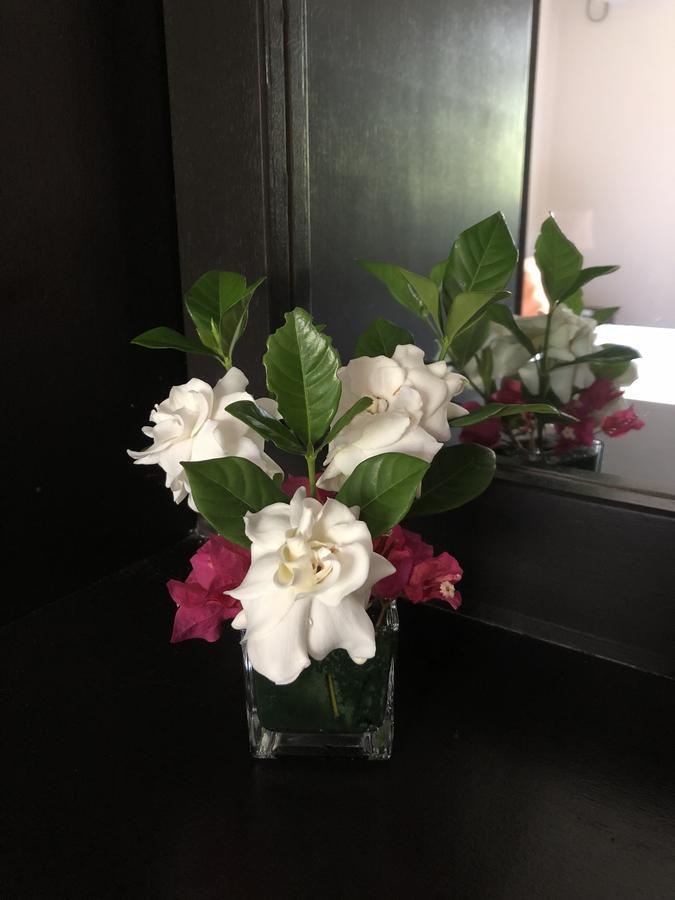Flower Garden Self-Catering Apartments Beau Vallon  Exterior foto