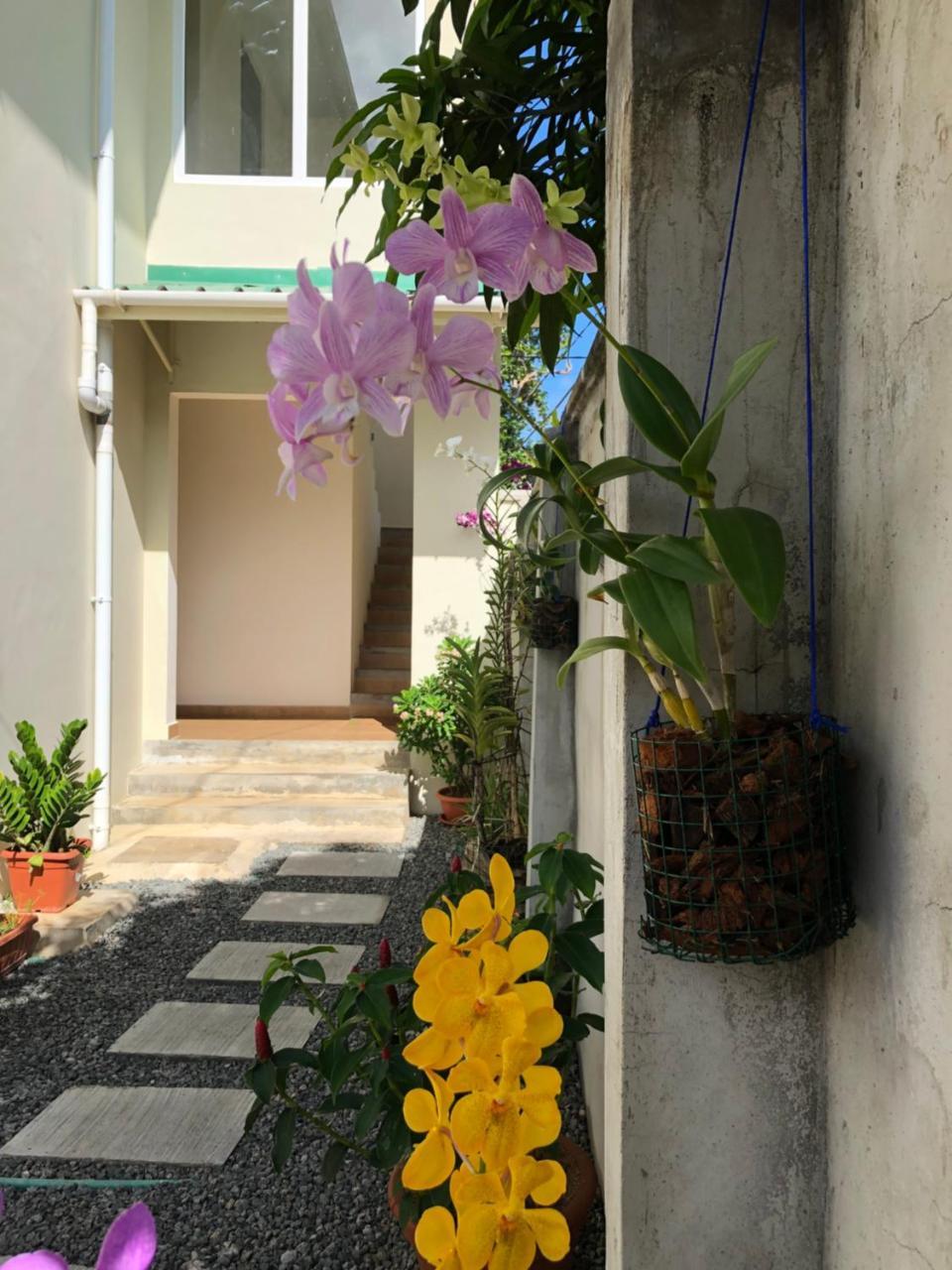 Flower Garden Self-Catering Apartments Beau Vallon  Exterior foto