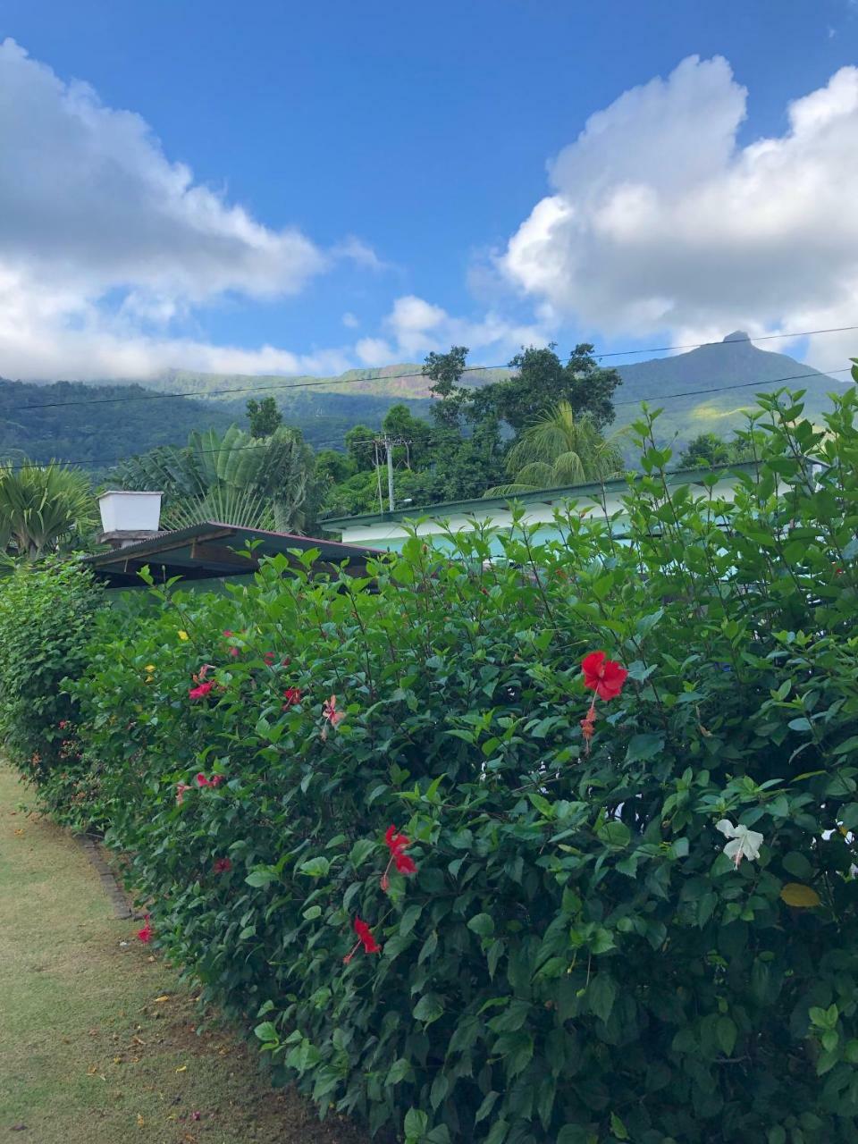 Flower Garden Self-Catering Apartments Beau Vallon  Exterior foto